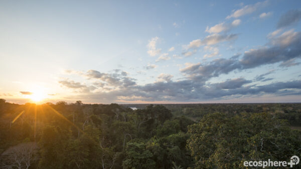 Tambopata-Bahuaja Biodiversity Reserve - Peru - Image 2