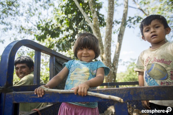 Tambopata-Bahuaja Biodiversity Reserve - Peru - Image 3