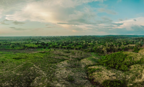Keo Seima Wildlife Sanctuary - Cambodia - Image 4