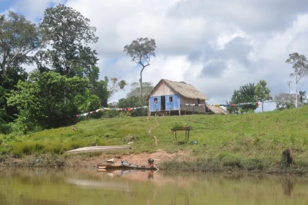 Envira Amazon Project - Tropical Forest Conservation - Brazil - Image 3