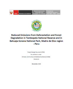 CCB Project Draft Document 1067<br /><figcaption id=